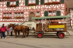 Kernfrauenfahrt-mit-Ross-und-Wagen-am-7.-Juli-2012-zum-Rheinfall