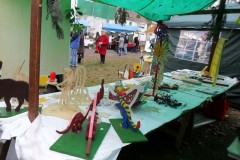 Alternativer-Weihnachtsmarkt-in-Engen-311212_2