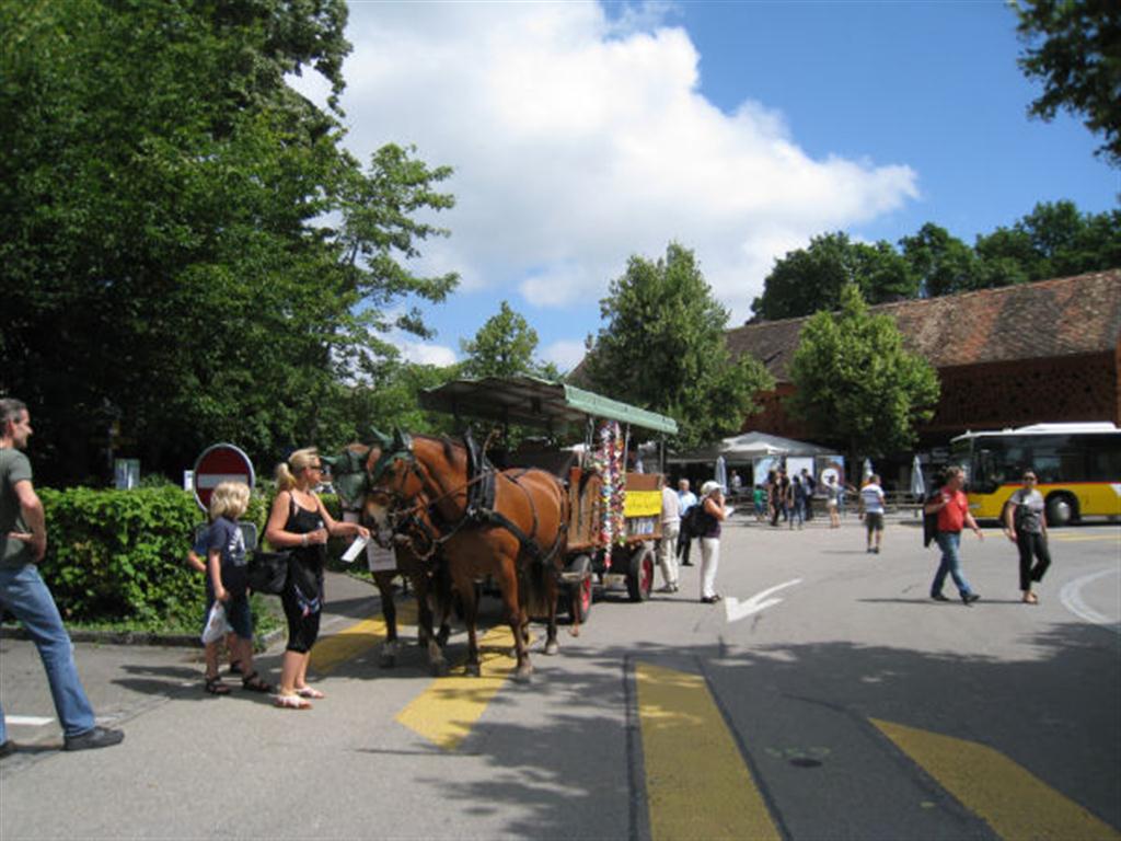 Kernfrauenfahrt 7.7.12 006 (Medium) (2)